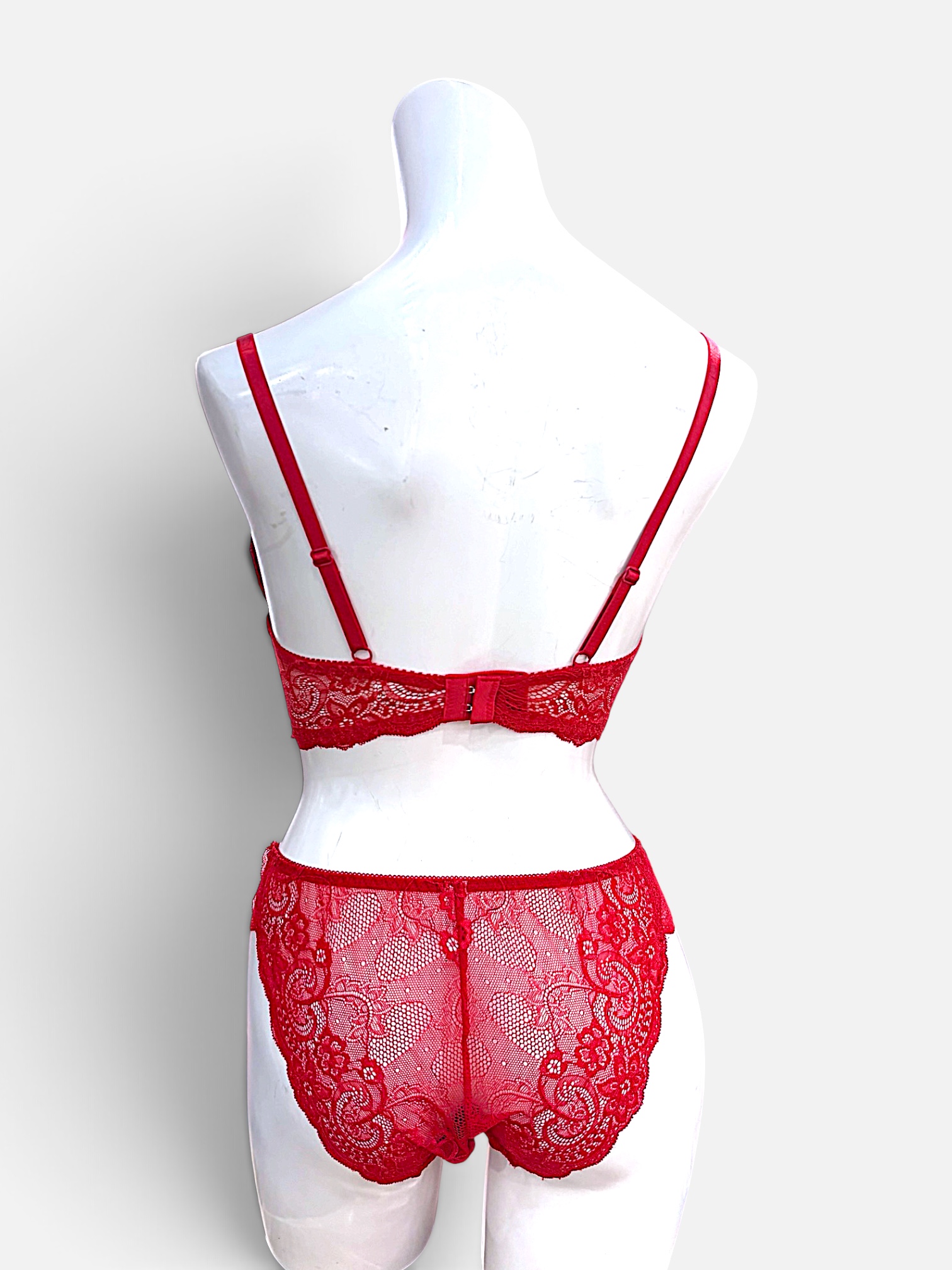 White / Black / Red | D-DD cup Lace Bra & Panty Set - Image 39