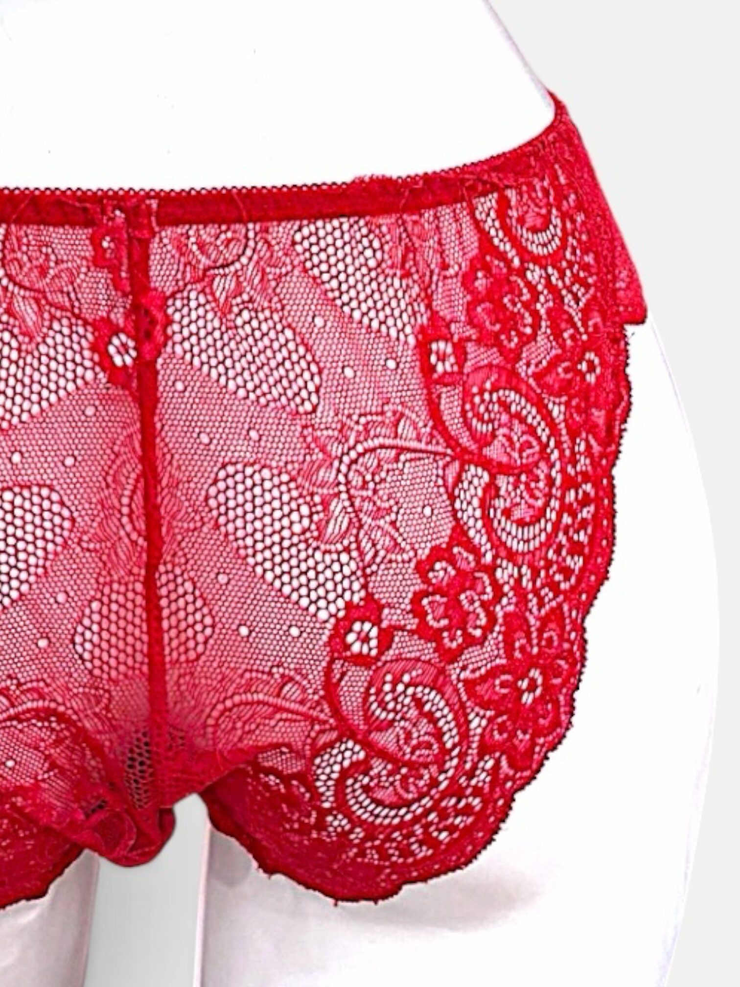 White / Black / Red | D-DD cup Lace Bra & Panty Set - Image 38